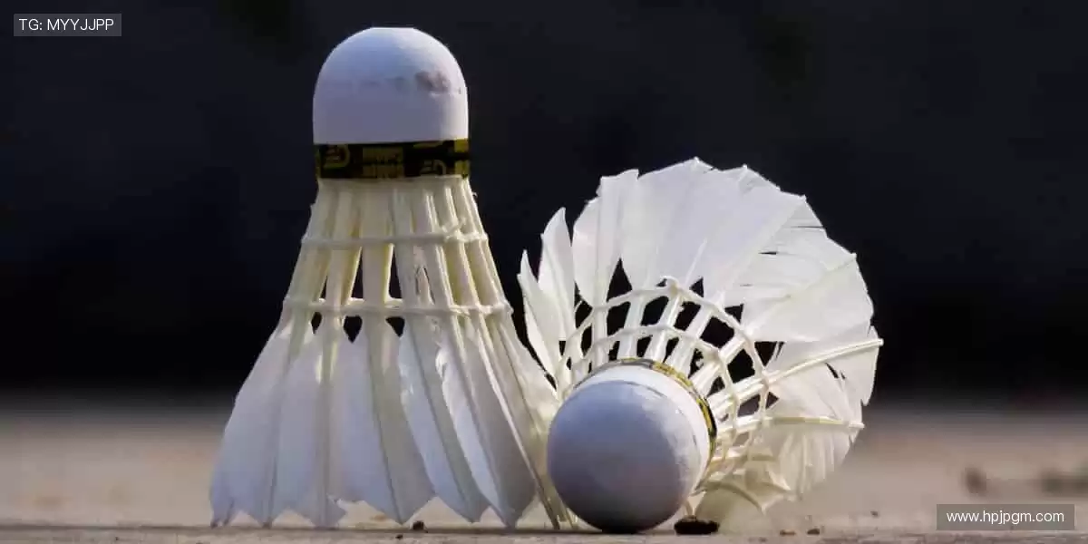 📱高清直播,随时随地掌控赛事!